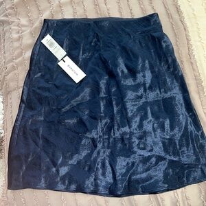Aritizia Babaton Slip Mini Skirt